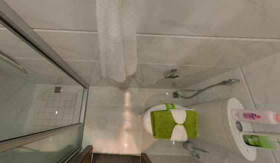 支持淋浴的衛生間